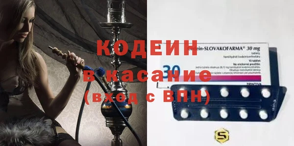 дживик Арсеньев