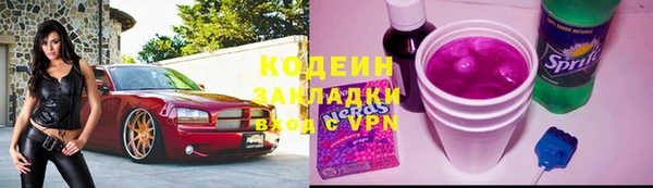 прущие грибы Аркадак