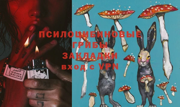 прущие грибы Аркадак